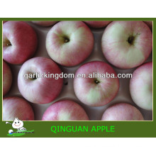 Sell China qinguan apple Brother Kingdom